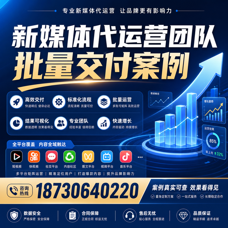迪庆代运营公司多客户账号批量高效交付案例